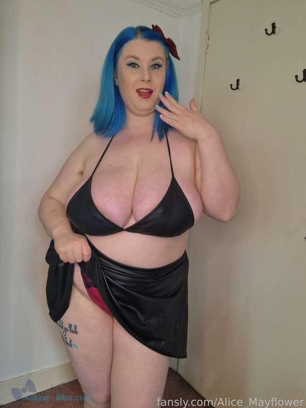alice_mayflower image #4