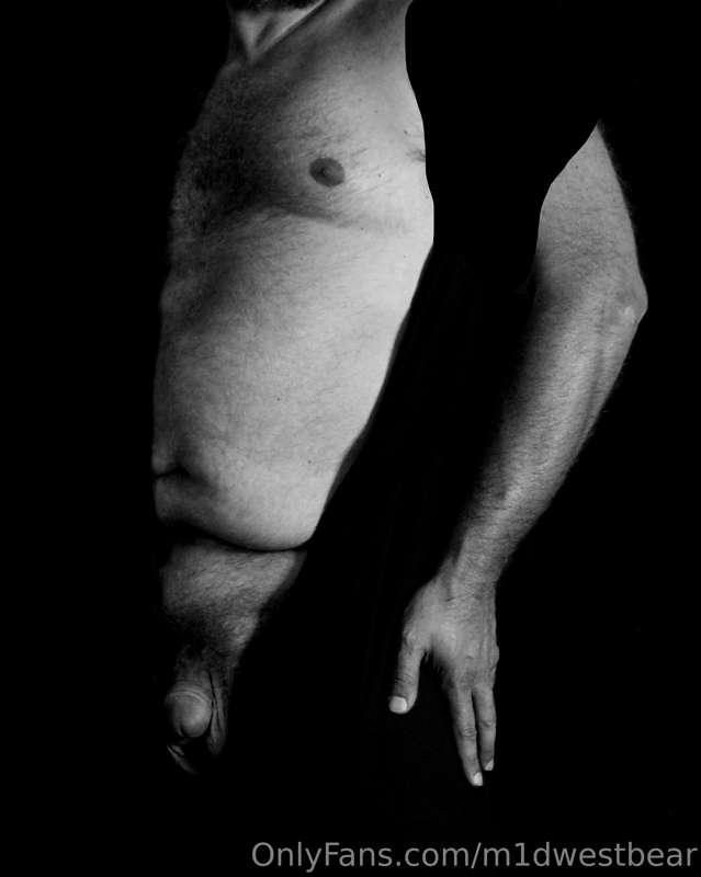 m1dwestbear image #15