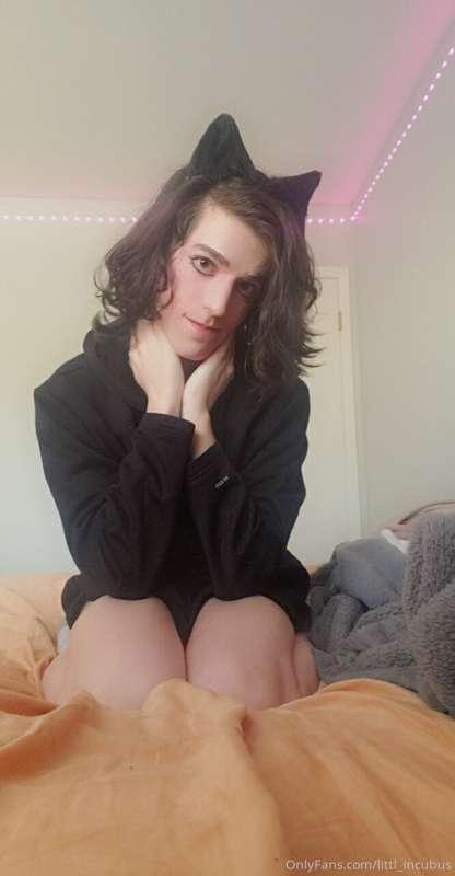 Another bundle of cute catboy pics... hope everyone enjoys t..