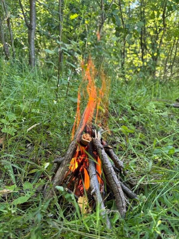 hmm living in forest is best way when I check news haha
so now I can be alone in my camp near the fire so warm place to be wild and naked 😋

♡ #young #tiny #cute #fyp #blonde #shorthair #natural ♡