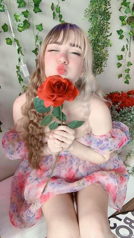 indigowhite image #14