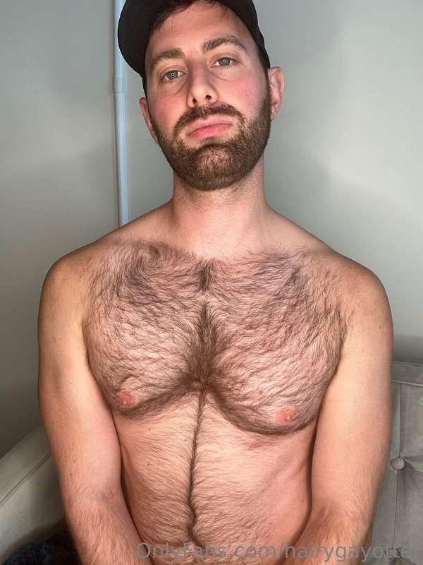 hairygayotter image #1