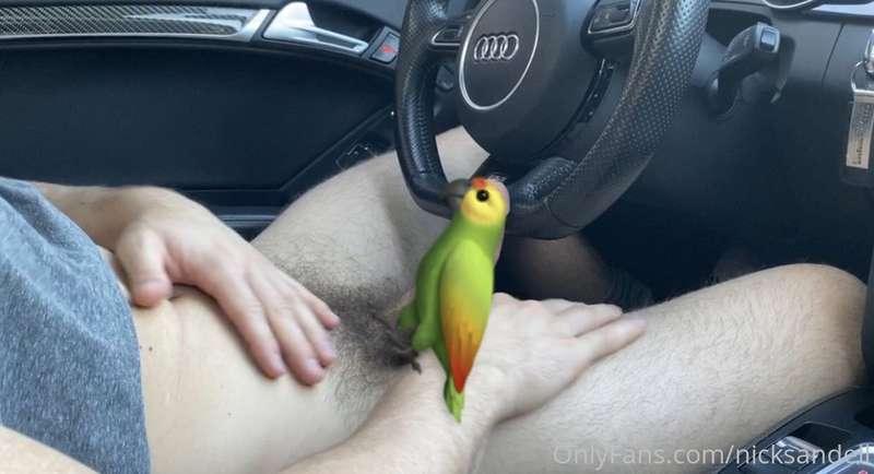 What’s your favorite animal?