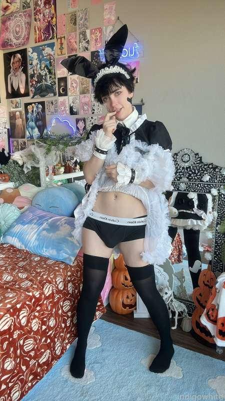 indigowhite image #9