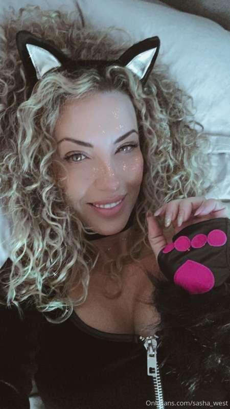 This sexy kitty was very 😈 this Halloween 👻 🎃