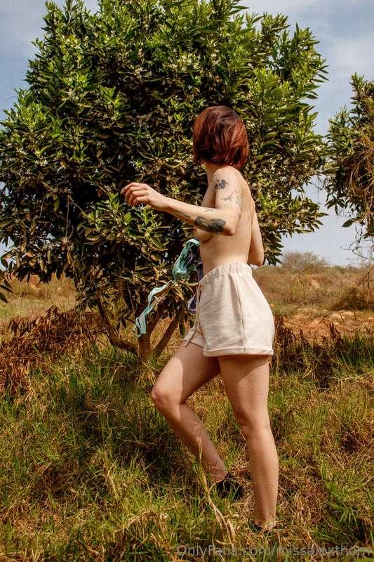 missalexthorn image #3