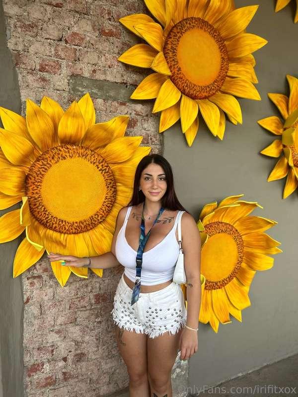 Sweetest of the sunflowers😜