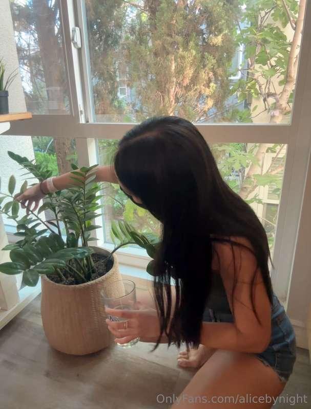 Giving some love and care to my little green friend 🌲💚 Do yo..