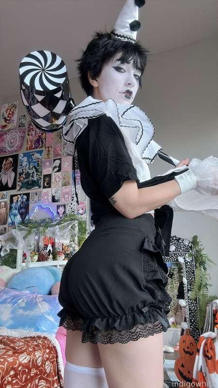 indigowhite image #115