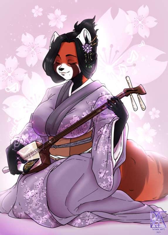 Hana playing shamisen