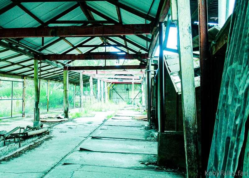 Exploring rustic sheds in Pipe Makers park and stumbled upon..