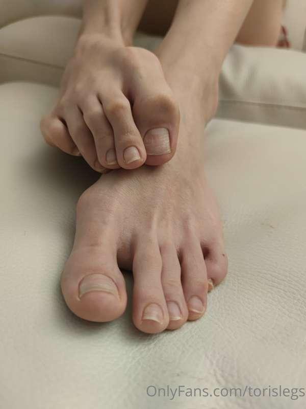 torislegs image #10