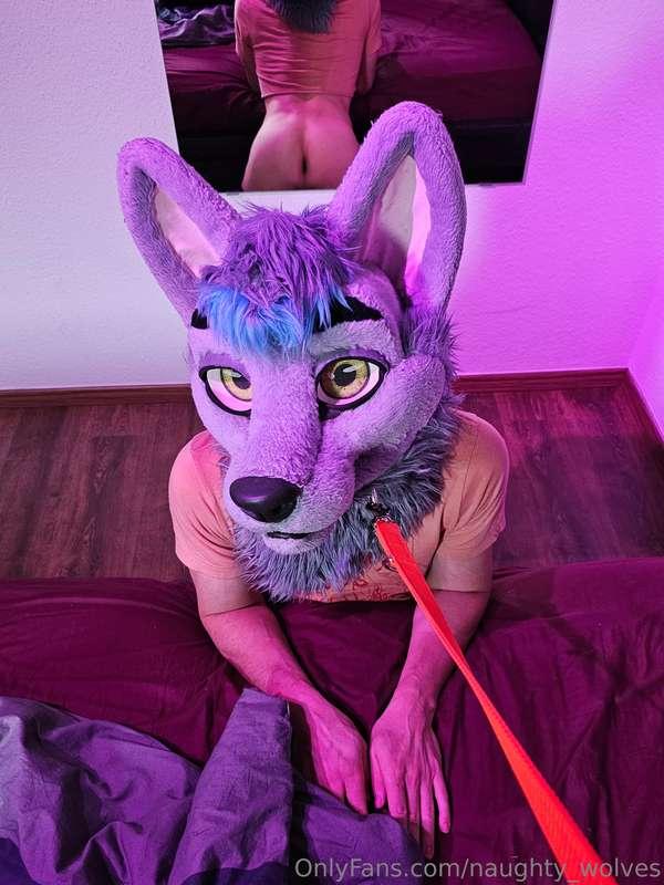 naughty_wolves image #0