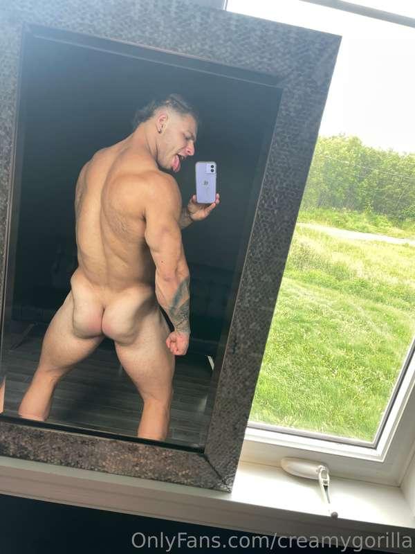 Gainz