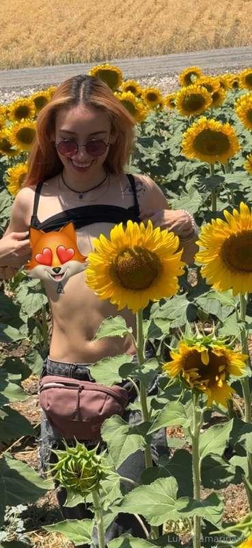 Flashing with the sunflowers 🌻😈