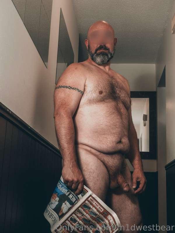 m1dwestbear image #2