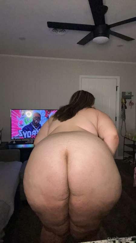 pawgwithablog97 image #0