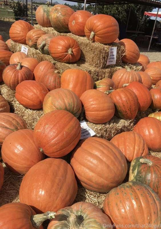 I had a fun day at the pumpkin patch/corn maze but sadly did..