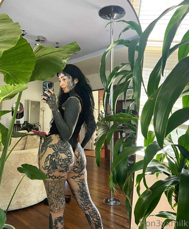 hon3yxmilk main image