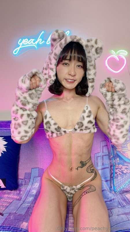 Nice kitty~ 🐆😇