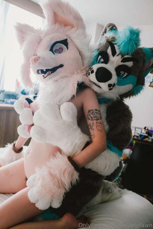 two naughty puppies, what will they do? 🤭🩷🩵 @affogato_husky 