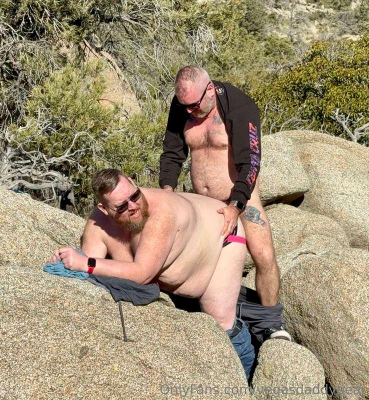 vegasdaddybear image #6