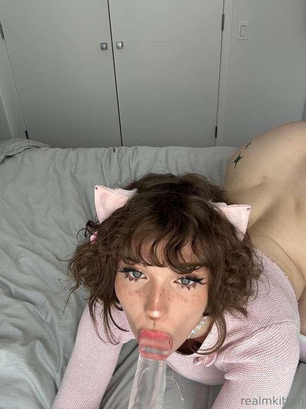 cakedfeline image #0