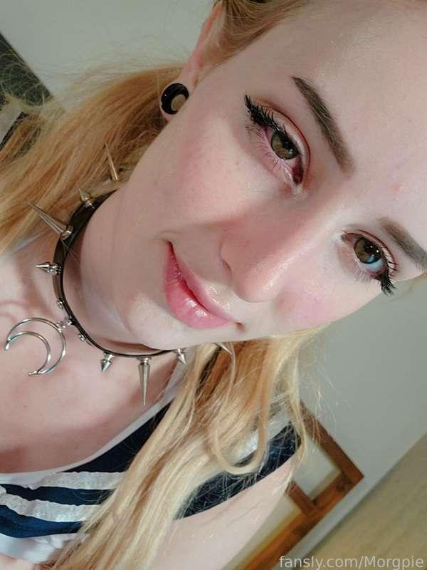 morgpie image #9