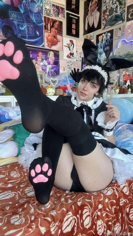 indigowhite image #55