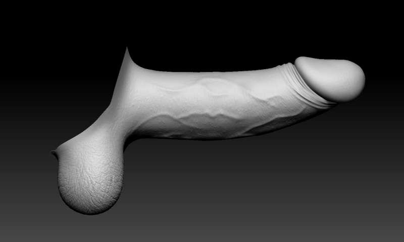 WIP - Human Penis High Poly Sculpt for WITW