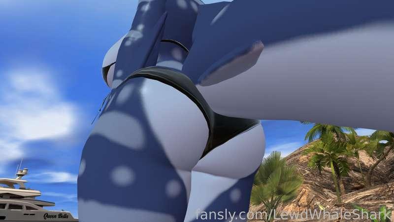 lewdwhaleshark image #2