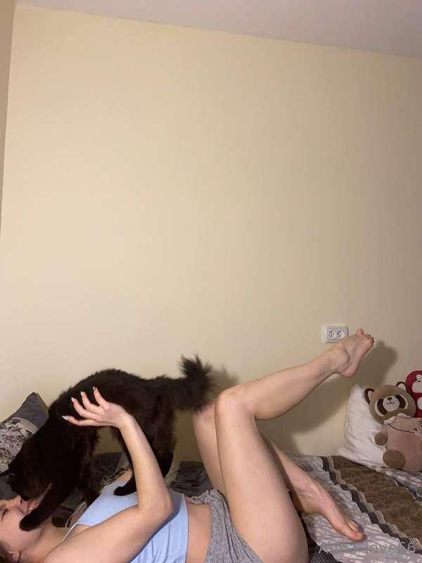 Do you like animals?