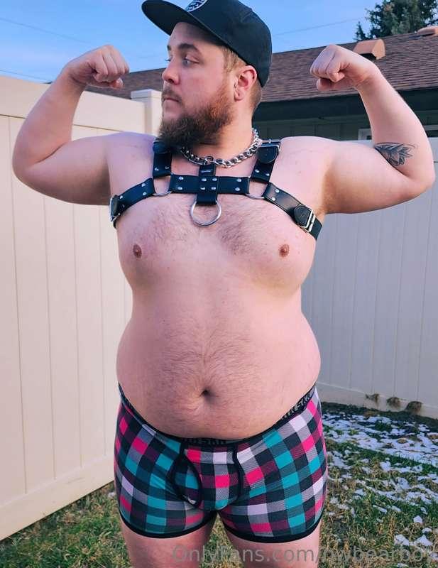 nwbearboy main image