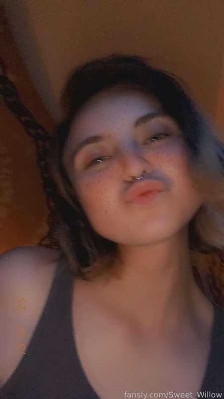 sweet_willow image #2