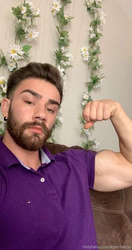 shredtacular main image