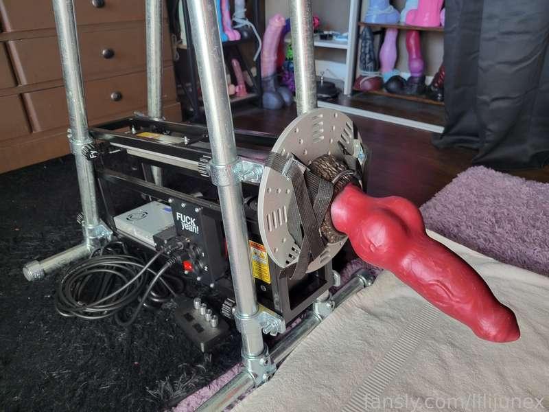 Who's ready for another round of machine knot-fucking...with a bigger knot 😈

#hugedildo #fuckmachine #baddragon #fantasydildo