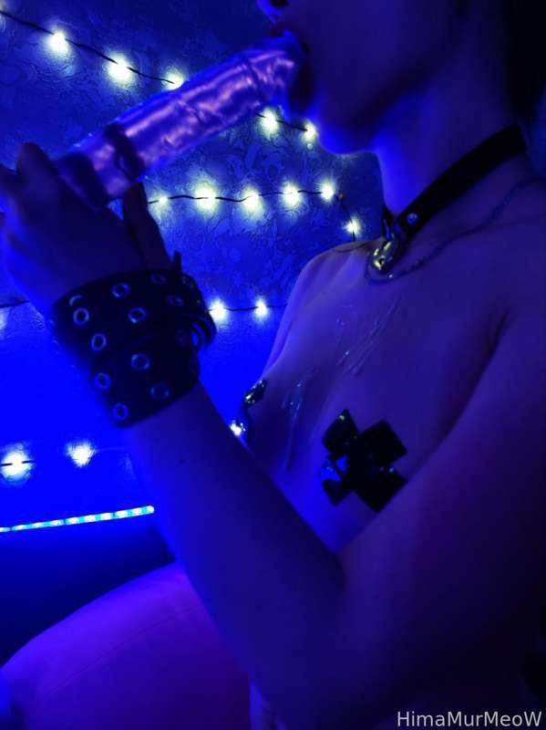 himamurmeow image #1