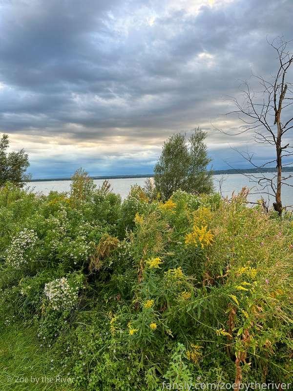 zoebytheriver image #13