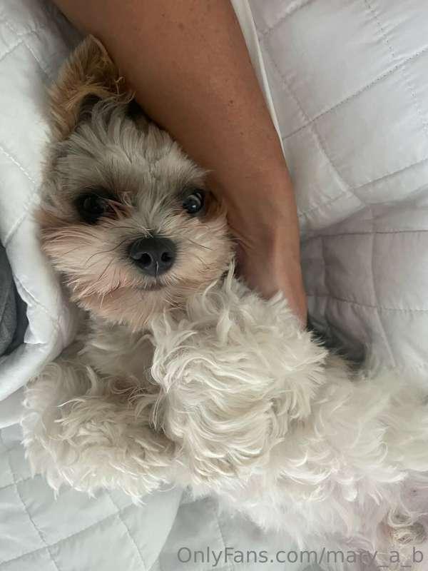 Sundays are ruff . 🐶