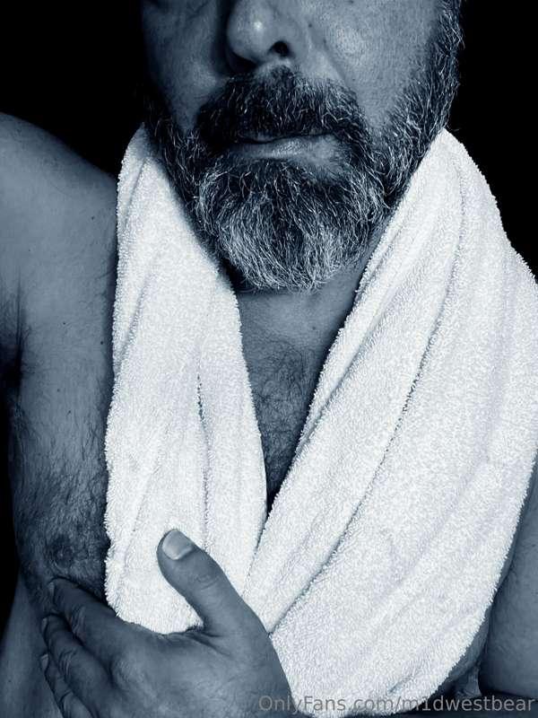 m1dwestbear image #6