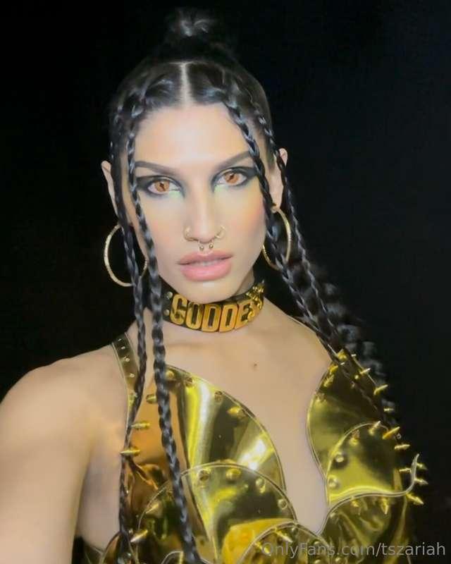 TBT 🐍