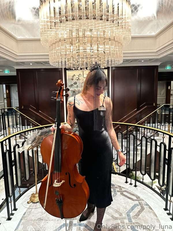 Beautiful evening, would you like to listen to me play?🎻