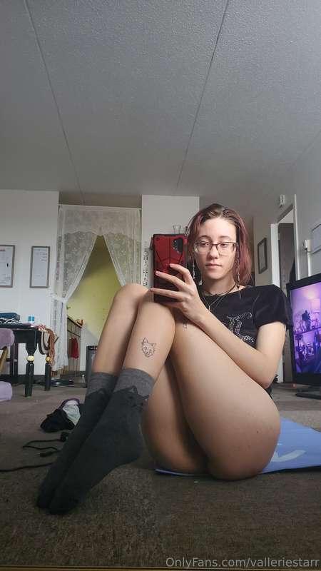 🌻 