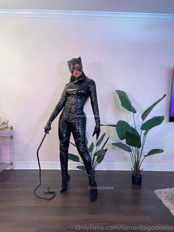 Are you my kitty