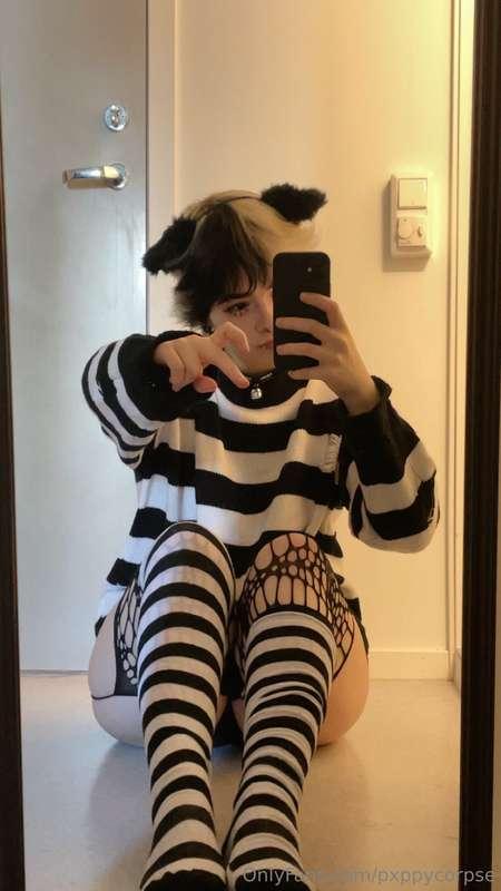 pxppycorpse image #0