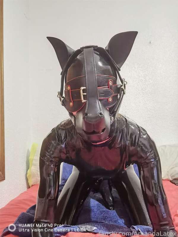 amandalatex image #9