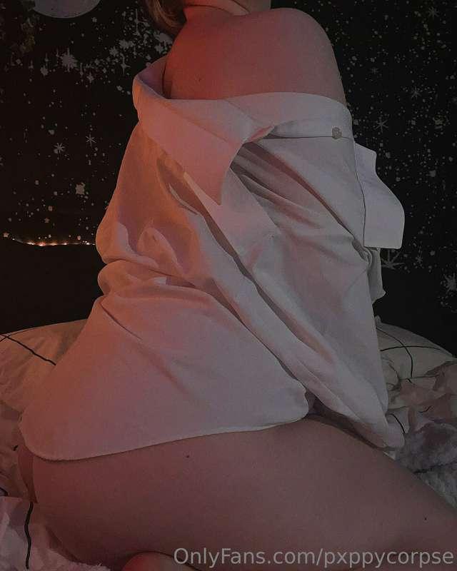 pxppycorpse image #0