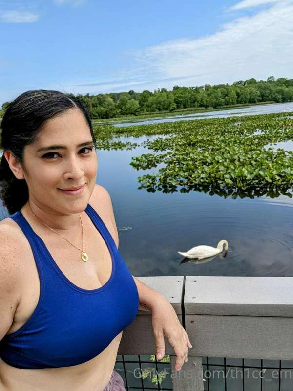 Saw this swan on my walk today and was so jealous of her bea..