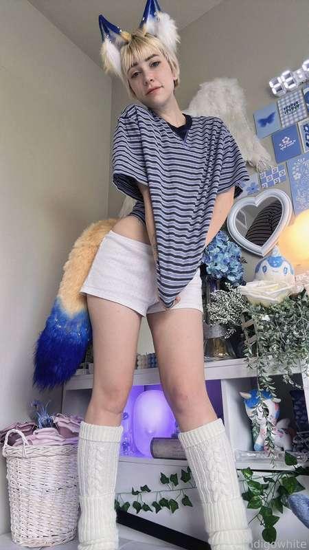 indigowhite image #30