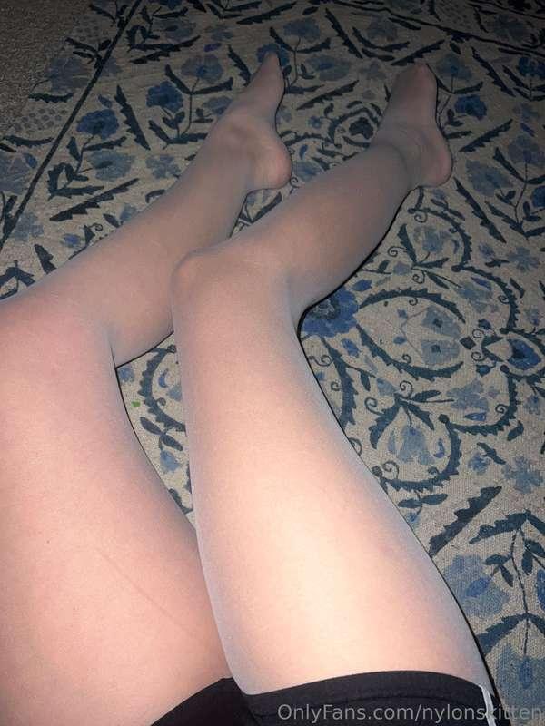 nylonskitten main image